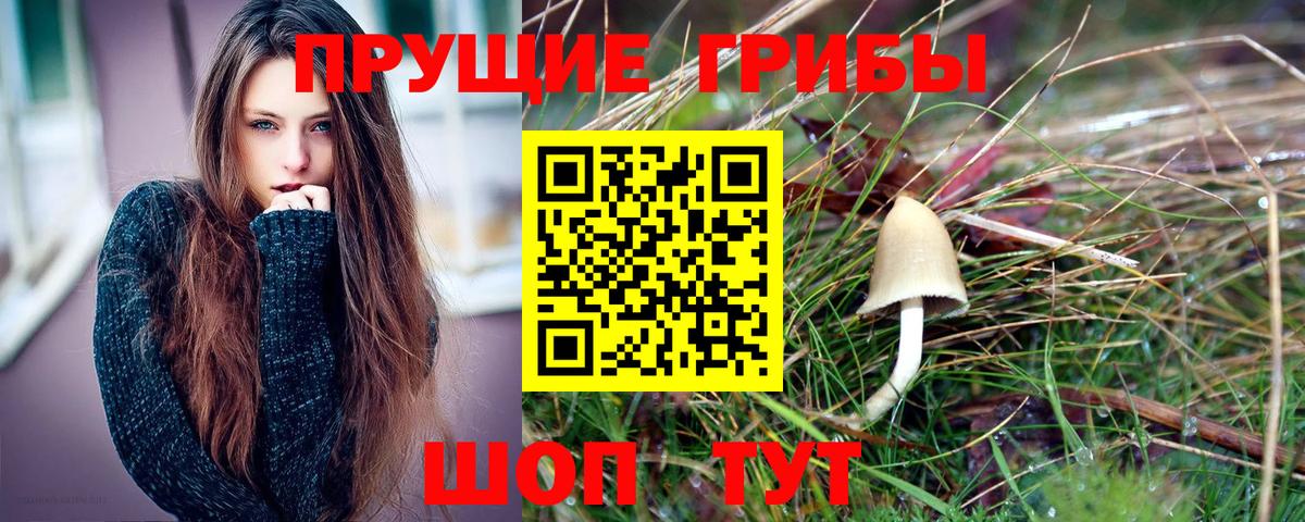 Галлюциногенные грибы MAGIC MUSHROOMS  Вход с VPN  Галлюциногенные грибы MAGIC MUSHROOMS  Назрань 